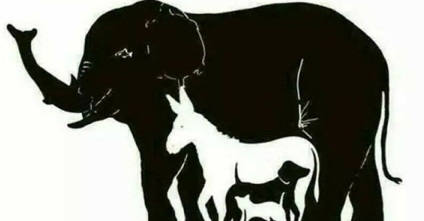 Coba tebak ada berapa makhluk hidup di 5 gambar ini?