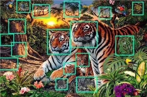 Coba tebak ada berapa makhluk hidup di 5 gambar ini?