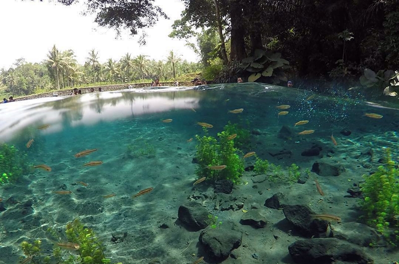 5 Tempat wisata di Malang yang lagi hits sekaligus instagramable   