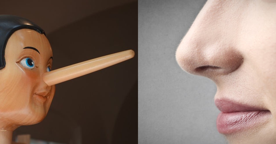 Hidung manusia ternyata menyusut saat berbohong, ini penjelasannya