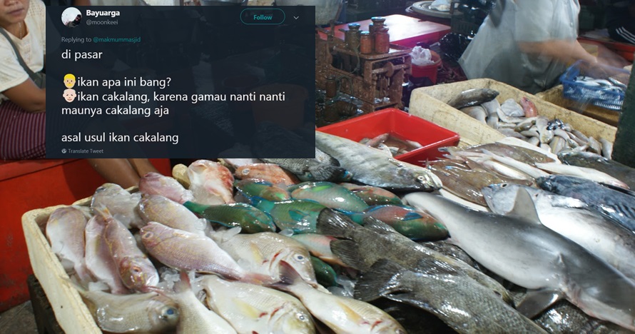 15 Cuitan lucu 'asal-usul ikan' ini bikin susah nahan tawa