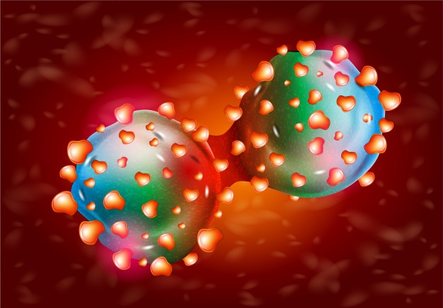 31 Manfaat minyak zaitun untuk kesehatan & kecantikan, cerahkan kulit