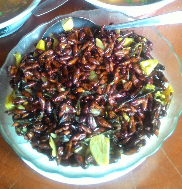 7 Camilan ekstrem dari serangga khas Indonesia, berani coba?