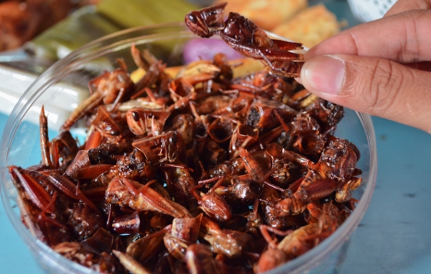7 Camilan ekstrem dari serangga khas Indonesia, berani coba?