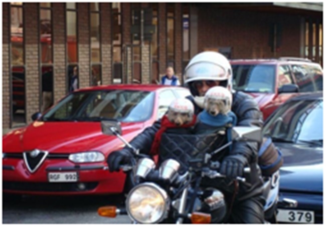 25 Aksi lucu orang taat peraturan ini bikin ketawa tepuk jidat