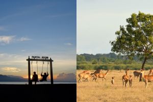 7 Tempat honeymoon di Banyuwangi buat pengantin baru, romantis abis