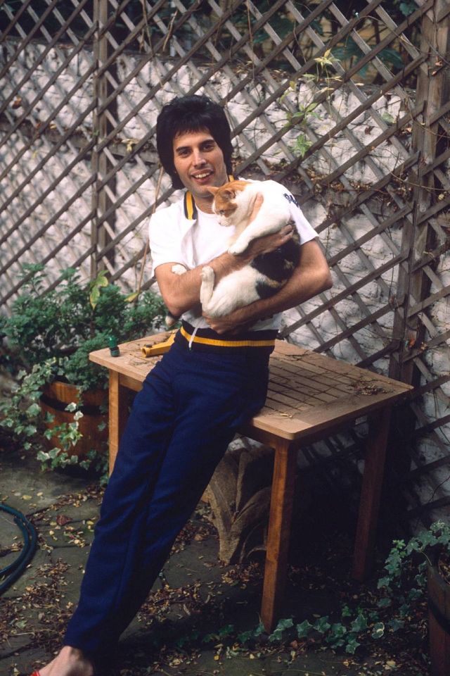 18 Foto langka Freddie Mercury bersama kucing kesayangannya