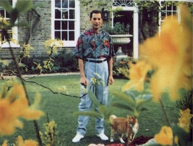 18 Foto langka Freddie Mercury bersama kucing kesayangannya