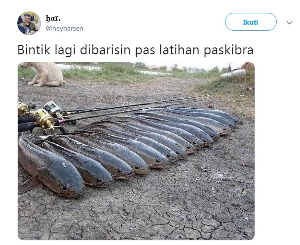 12 Cuitan lucu pakai ikan gabus ini bikin cengar-cengir sendiri