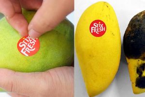 Ajaib, cukup ditempel stiker ini buah bisa awet & tetap segar
