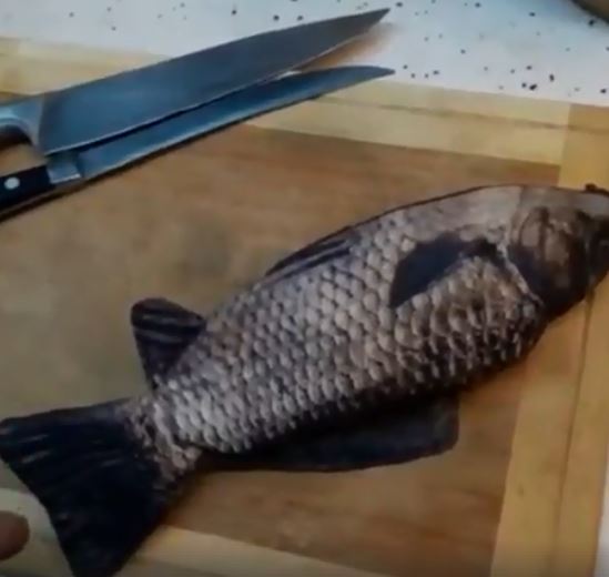 Ending cara mengeluarkan isi perut ikan ini bikin geleng kepala