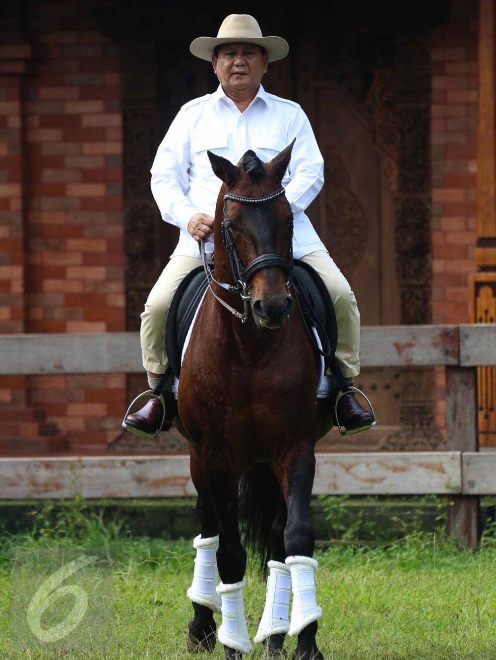 Ini jenis dan nilai hewan ternak Prabowo, kudanya ratusan ekor