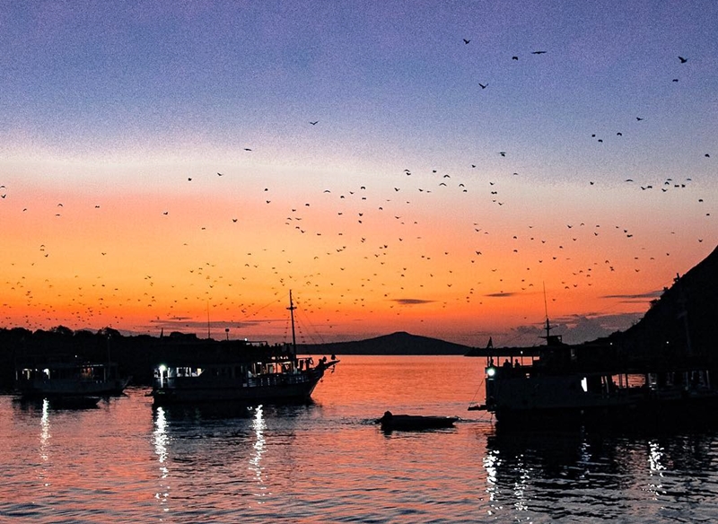 5 Aktivitas seru ini wajib dicoba saat liburan keluarga di Labuan Bajo