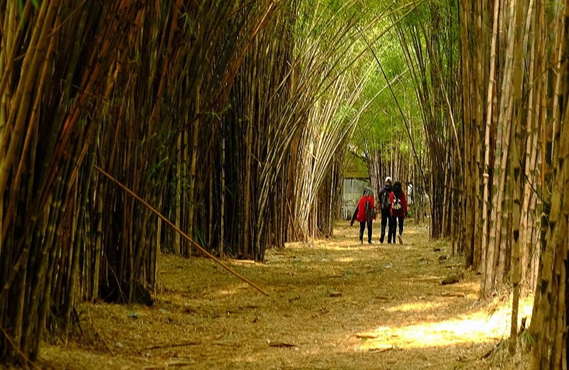 4 Destinasi wisata zaman now di Surabaya yang wajib dikunjungi