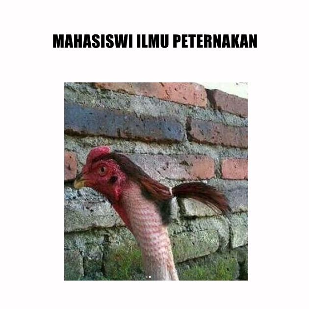 20 Meme lucu lulusan universitas ini bikin kamu auto nyengir