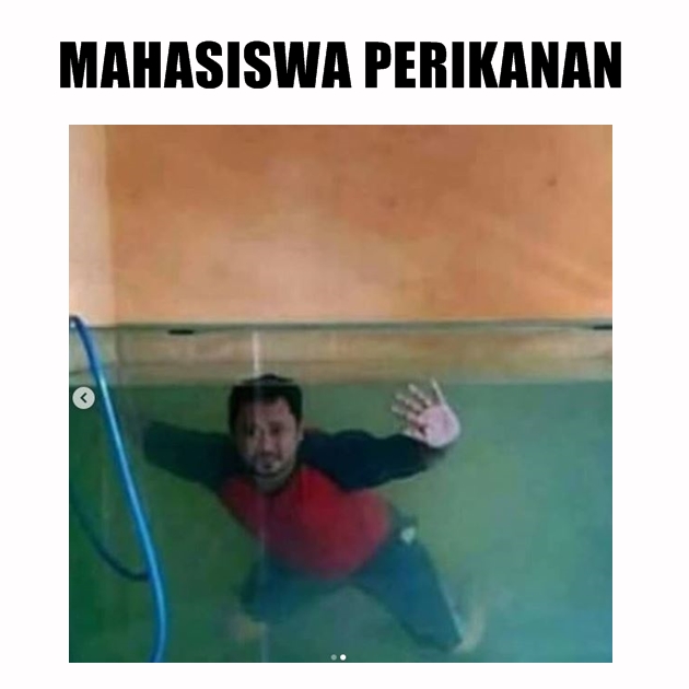 20 Meme lucu lulusan universitas ini bikin kamu auto nyengir