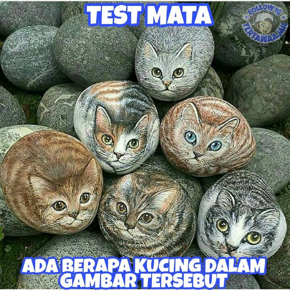 12 Meme lucu menipu mata ini bikin kamu mikir dua kali