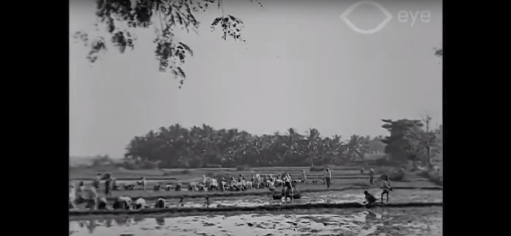 Video letusan Anak Krakatau 1927, gunung masih di bawah laut