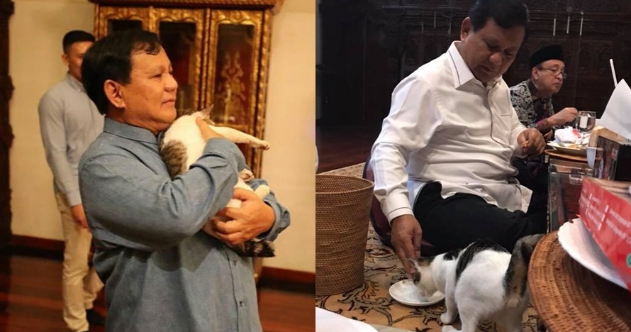7 Momen Prabowo main bareng kucing kesayangannya