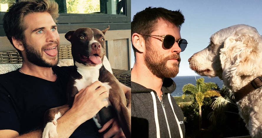 8 Adu gaya Chris & Liam Hemsworth, perut sixpack bikin gagal fokus