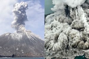 Evolusi Anak Krakatau pascaerupsi 1883, tumbuh 4 meter per tahun