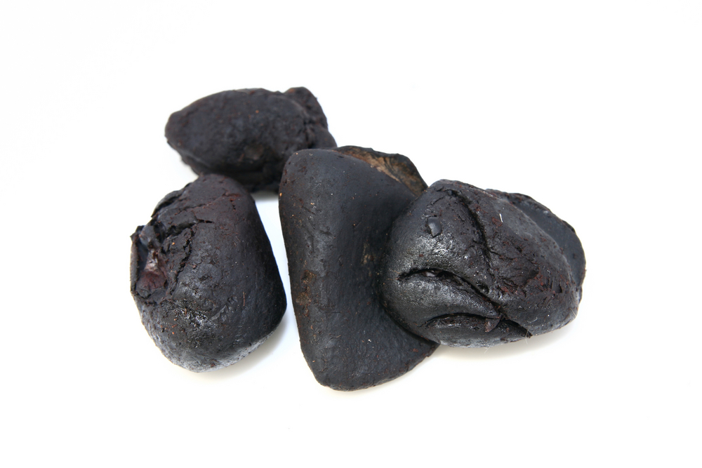 7 Makanan lezat berbumbu kluwak, buah yang bikin mabuk kepayang