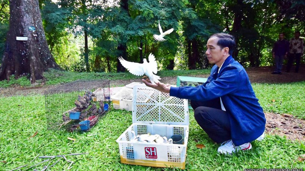 Sama-sama penyuka hewan, ini beda peliharaan Jokowi & Prabowo