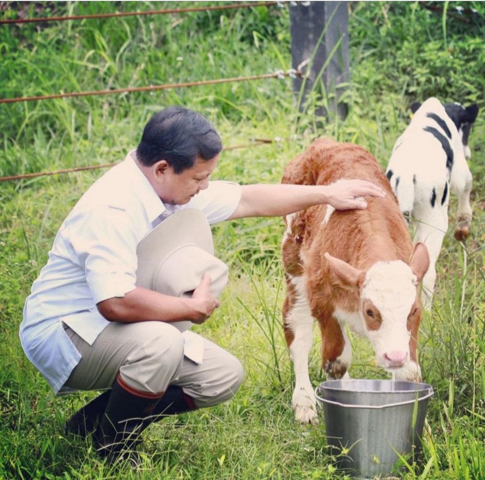 Sama-sama penyuka hewan, ini beda peliharaan Jokowi & Prabowo