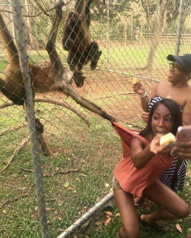 15 Foto lucu orang mau selfie tapi gagal ini apes banget