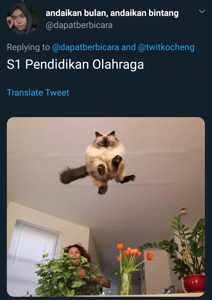 20 Cuitan imajiner jika kucing kuliah, bikin cengar-cengir