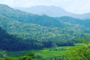 Menikmati glamping di Bukit Menoreh, sajikan panorama Borobudur