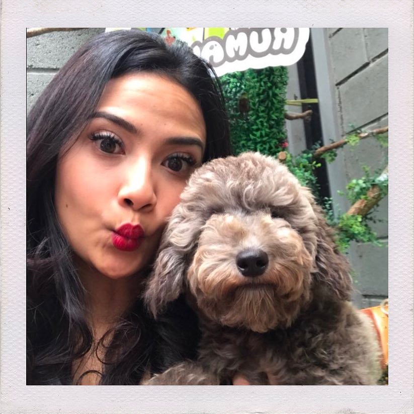 10 Potret Vanessa Angel bareng anak anjing, bukti pecinta hewan