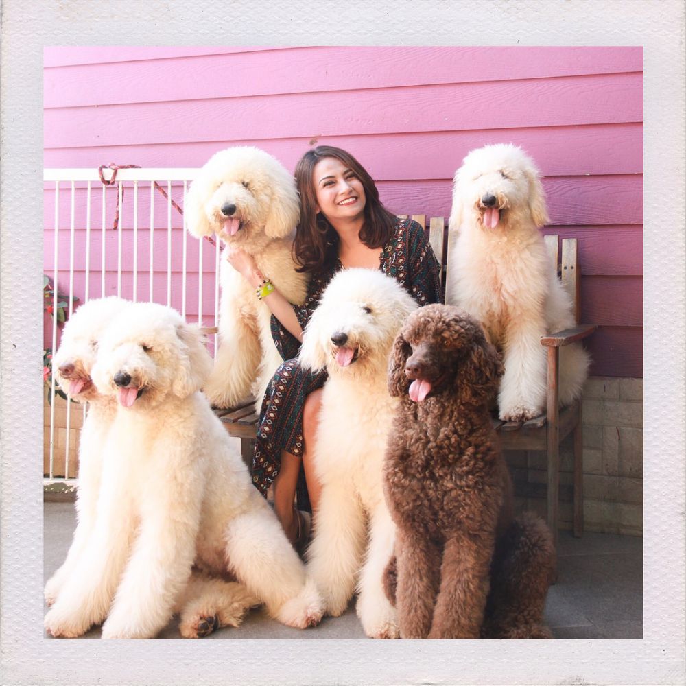 10 Potret Vanessa Angel bareng anak anjing, bukti pecinta hewan