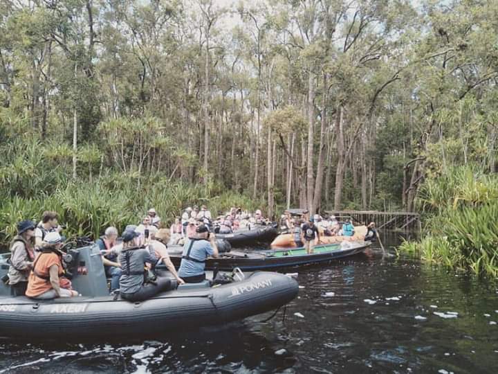 Menikmati keindahan Tanjung Puting dengan kapal pesiar, unik