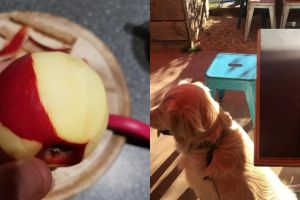 15 Foto ini sekilas mirip editan komputer padahal jepretan asli