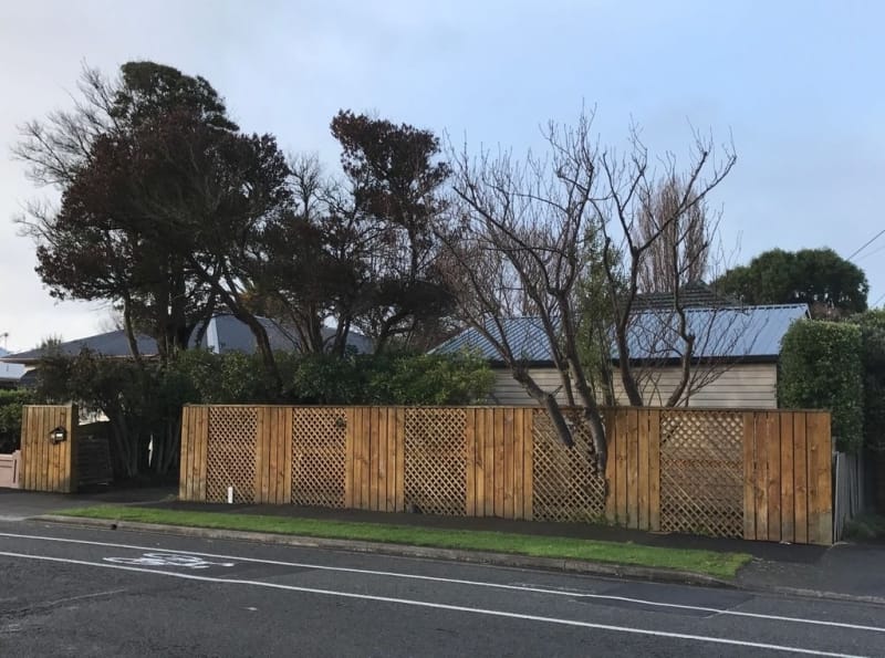 15 Foto ini sekilas mirip editan komputer padahal jepretan asli