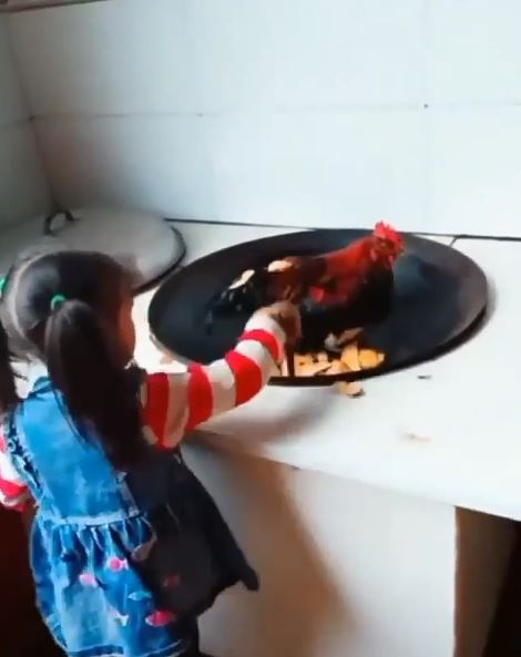 12 Foto lucu anak kecil bertingkah ekstrem ini bikin tepuk jidat