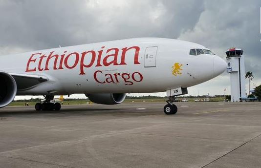 TNI AU paksa Ethiopian Air mendarat di Batam, ini penyebabnya