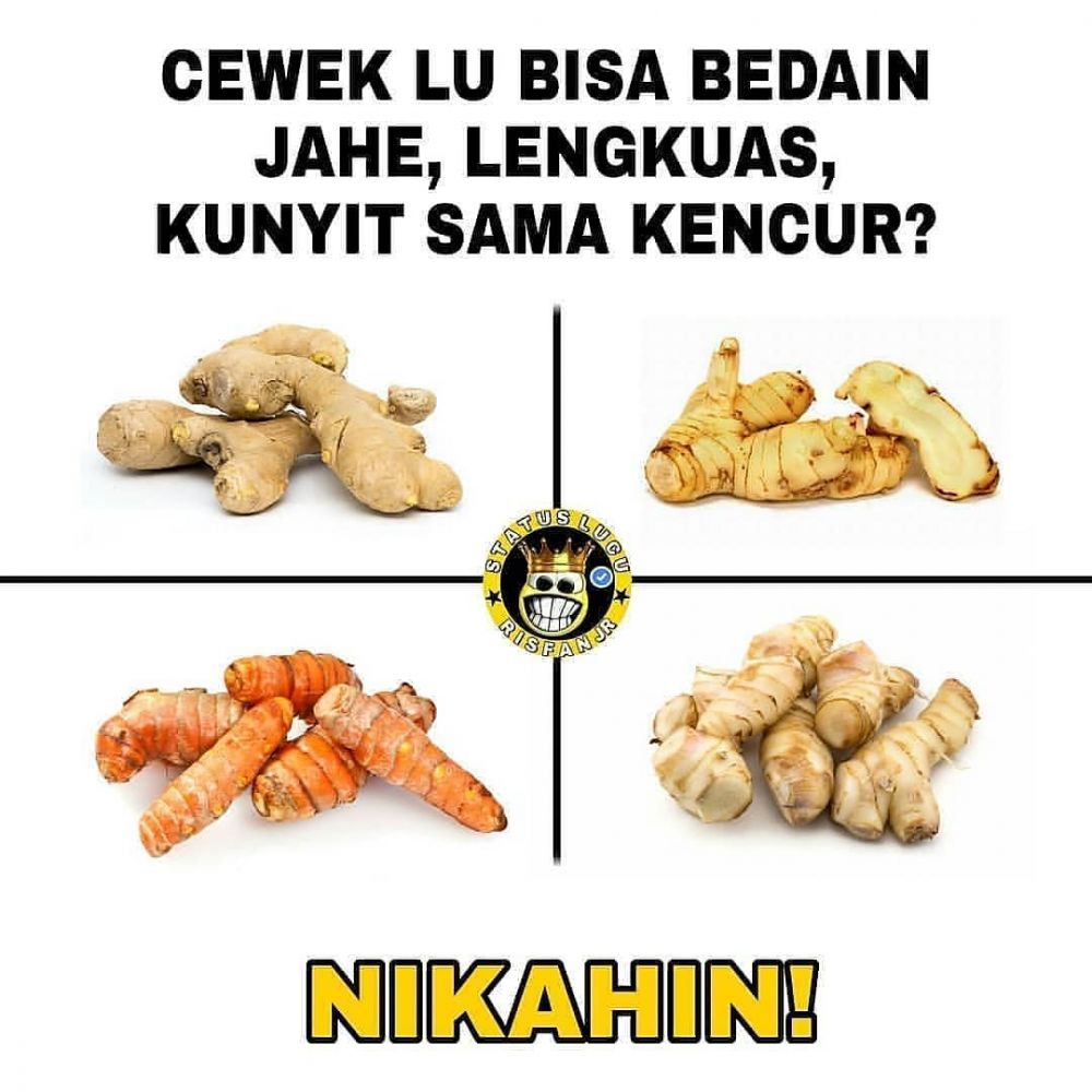 12 Meme lucu nyindir cewek ini bikin ketawa ngakak