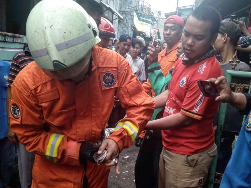 15 Sanca diamankan dari saluran air rumah warga