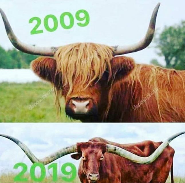 9 Foto lucu 10 Year Challenge ini ngawurnya kebangetan