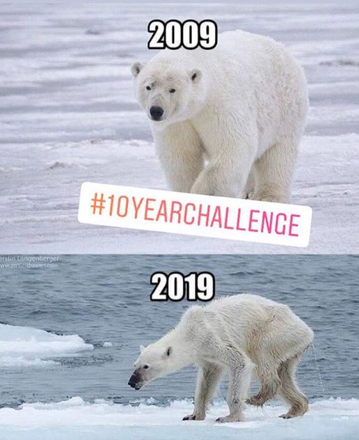 10 Potret transformasi 10 Years Challenge ini malah bikin sedih