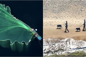 20 Foto udara pemenang Dronestagram, kerennya bikin melongo