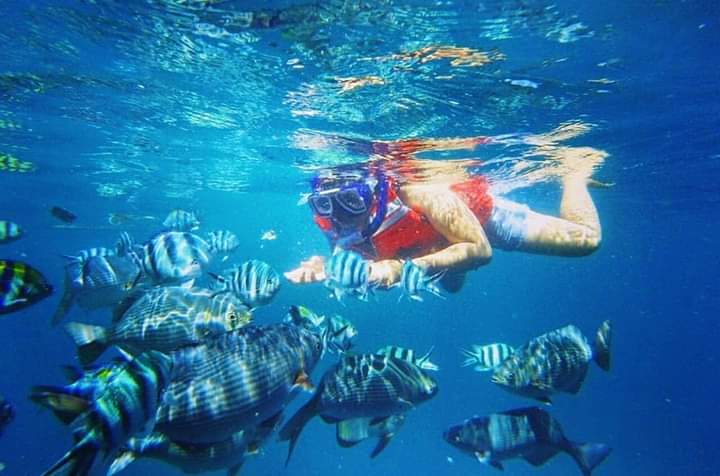5 Pesona keindahan bawah laut Bangsring, spot snorkeling keren