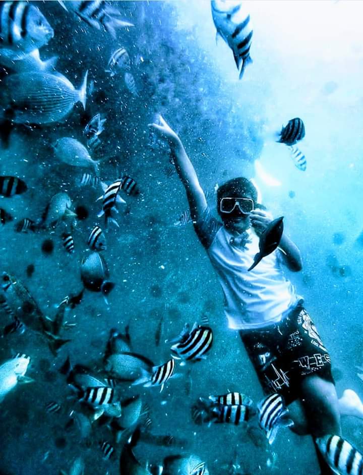 5 Pesona keindahan bawah laut Bangsring, spot snorkeling keren
