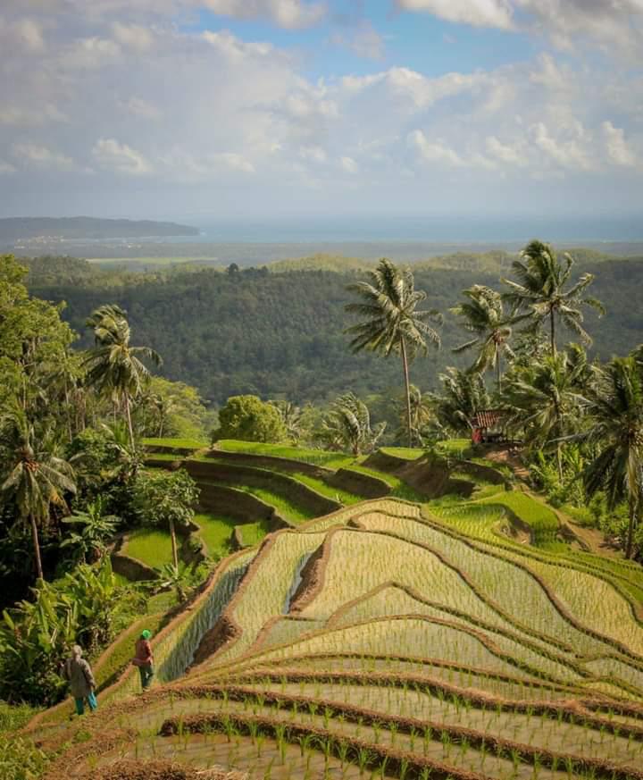 4 Destinasi wisata di Pangandaran, tak melulu pantai