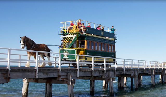 7 Cara nikmati pesona Adelaide, kota paling layak huni di dunia