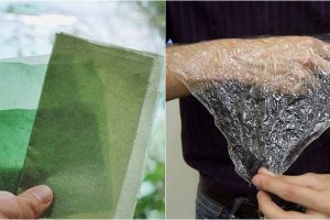 9 Plastik yang dibuat dari bahan alami, ramah lingkungan