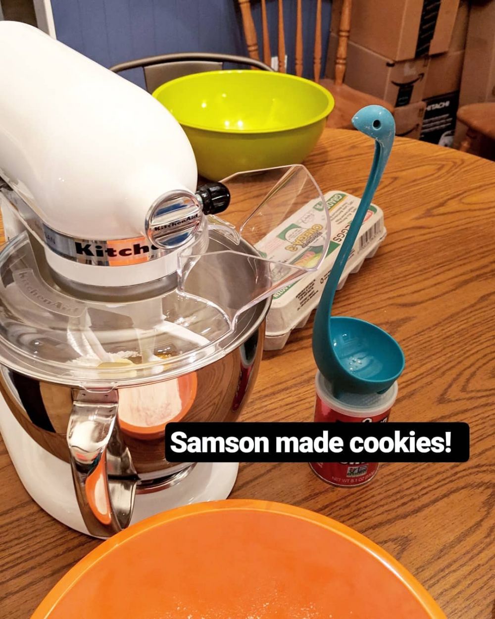 15 Potret irus beraksi bak manusia, followersnya ratusan ribu