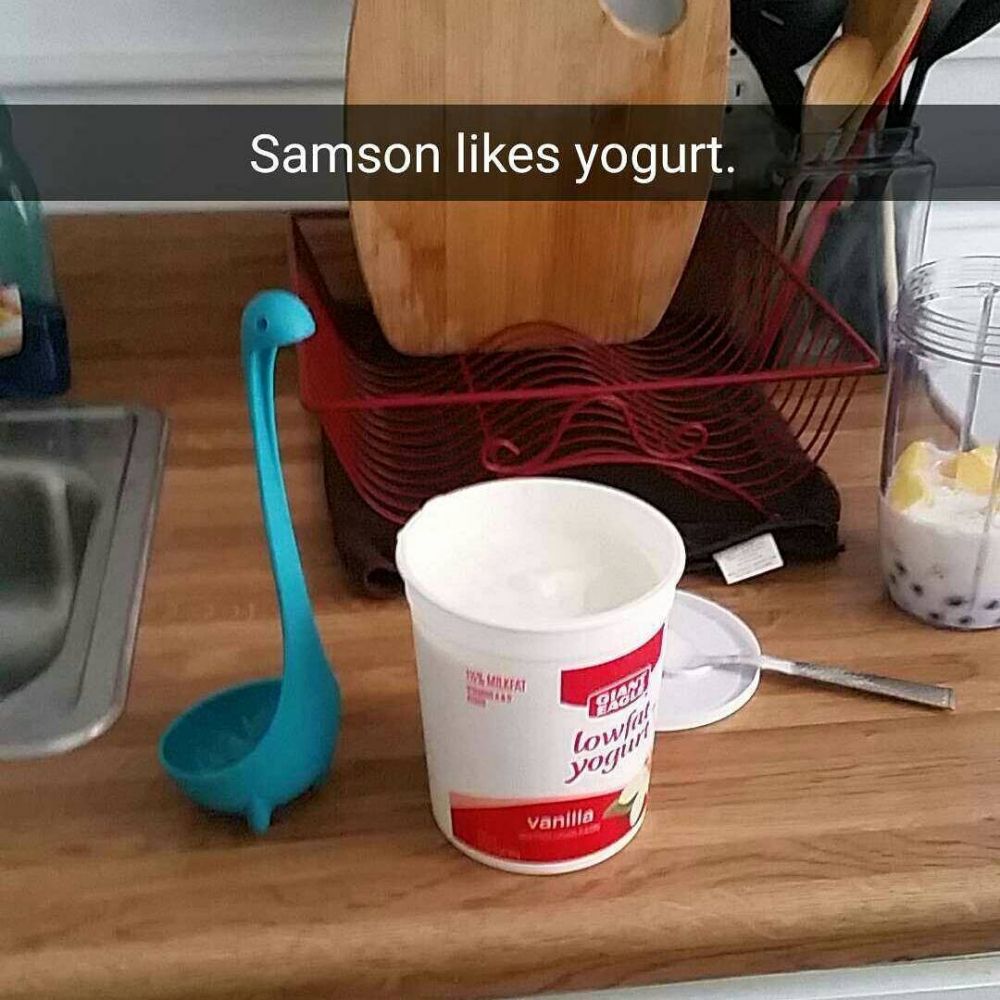 15 Potret irus beraksi bak manusia, followersnya ratusan ribu